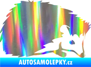 Samolepka Ježek 002 pravá Holografická