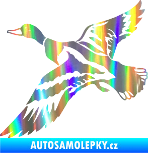 Samolepka Kachna divoká 001 levá kačer Holografická
