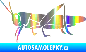 Samolepka Kobylka 002 levá Holografická