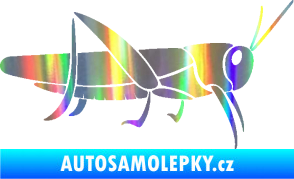 Samolepka Kobylka 002 pravá Holografická