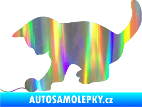 Samolepka Koťátko 001 levá Holografická