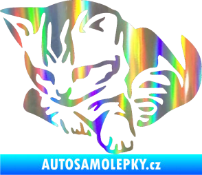 Samolepka Koťátko 003 levá Holografická