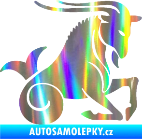 Samolepka Kozoroh 004 pravá Holografická