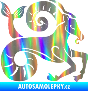 Samolepka Kozoroh 005 pravá Holografická