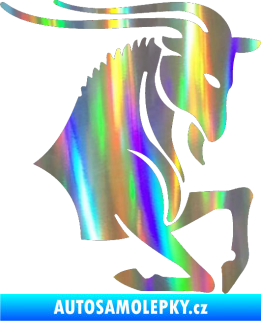 Samolepka Kozoroh 006 pravá Holografická