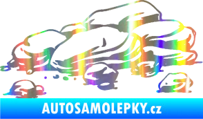 Samolepka Krajina kameny 001 Holografická