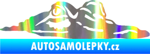 Samolepka Krokodýl 003 pravá hlava na hladině Holografická