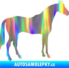 Samolepka Kůň 004 pravá Holografická