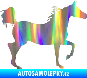Samolepka Kůň 009 pravá Holografická