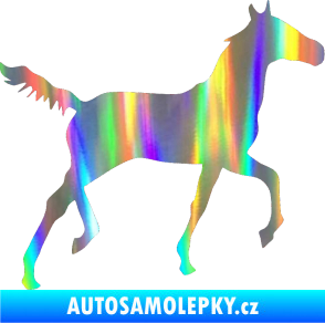 Samolepka Kůň 011 pravá Holografická