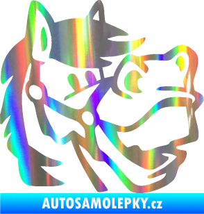 Samolepka Kůň 041 pravá veselý  Holografická