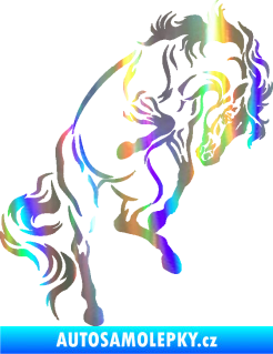 Samolepka Kůň 047 pravá Holografická