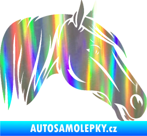 Samolepka Kůň 065 pravá hlava s hřívou Holografická