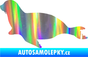Samolepka Lachtan 001 levá Holografická