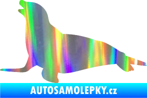 Samolepka Lachtan 002 levá Holografická