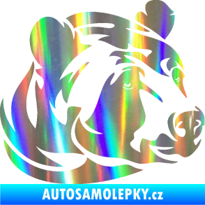 Samolepka Medvěd 007 pravá hlava Holografická