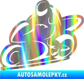 Samolepka Motorkář 011 levá Holografická