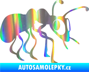 Samolepka Mravenec 001 pravá Holografická
