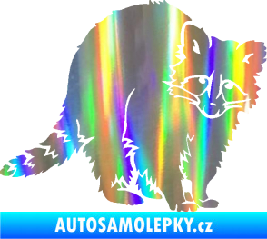 Samolepka Mýval 002 pravá Holografická