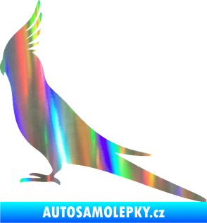Samolepka Papoušek 002 levá Holografická