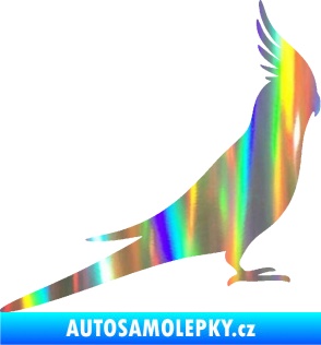 Samolepka Papoušek 002 pravá Holografická