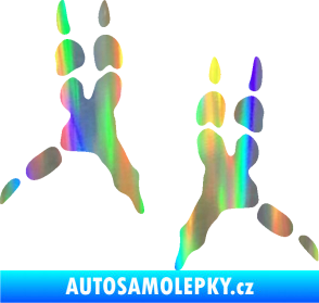 Samolepka Papoušek 008 stopy levá Holografická