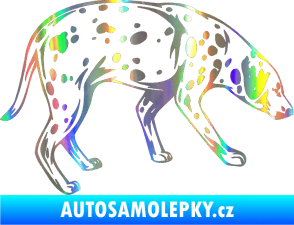 Samolepka Pes 001 pravá Dalmatin Holografická
