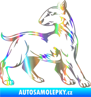 Samolepka Pes 011 pravá Holografická