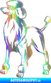 Samolepka Pes 014 levá Pudl Holografická