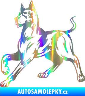 Samolepka Pes 039 levá doga Holografická