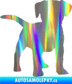 Samolepka Pes 056 pravá štěně Holografická