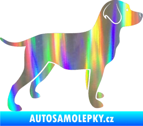 Samolepka Pes 062 pravá Labrador Holografická