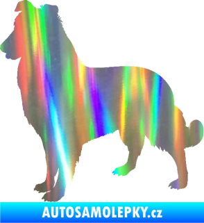 Samolepka Pes 084 levá Kolie Holografická