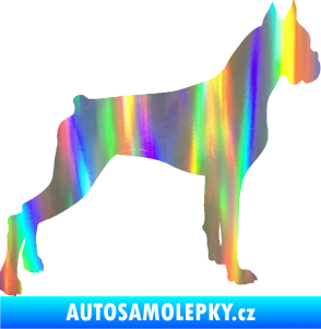 Samolepka Pes 087 pravá Boxer Holografická
