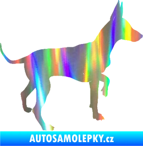 Samolepka Pes 093 pravá Pražský krysařík Holografická