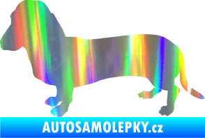 Samolepka Pes 094 levá Baset Holografická