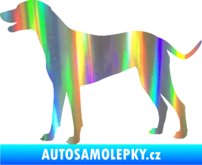Samolepka Pes 095 levá Dalmatin Holografická