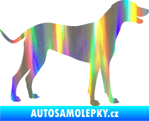 Samolepka Pes 095 pravá Dalmatin Holografická