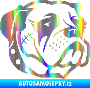 Samolepka Pes 097 pravá Buldok Holografická