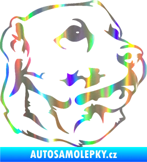 Samolepka Pes 104 pravá Labrador Holografická