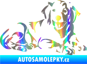 Samolepka Pes 106 pravá Retrívr Holografická