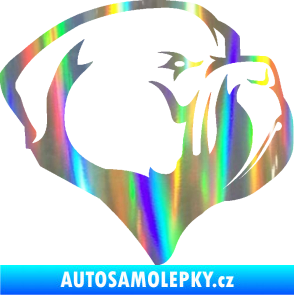 Samolepka Pes 116 pravá pitbull Holografická