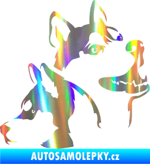 Samolepka Pes 117 pravá husky Holografická