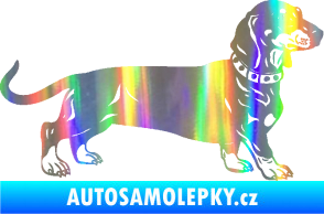 Samolepka Pes 122 pravá jezevčík Holografická