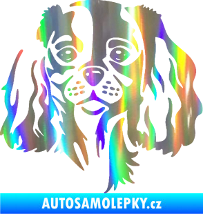 Samolepka Pes 132 pravá Cavalier king Charles spaniel Holografická