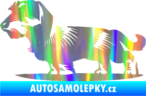 Samolepka Pes 133 levá drsnosrstý jezevčík Holografická