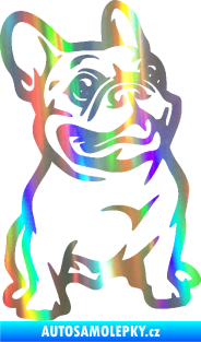 Samolepka Pes 139 pravá francouzský buldoček Holografická