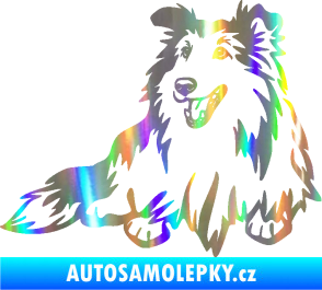 Samolepka Pes 162 levá sheltie Holografická