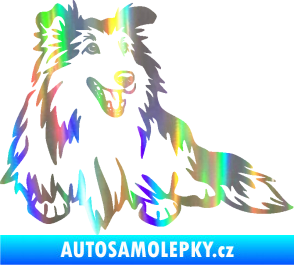 Samolepka Pes 162 pravá sheltie Holografická