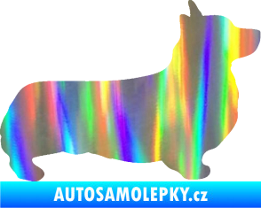 Samolepka Pes 164 pravá Welsh Corgi Pembroke Holografická